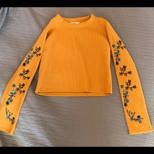 a long sleeve crop top